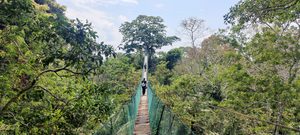Amazonas, del 1